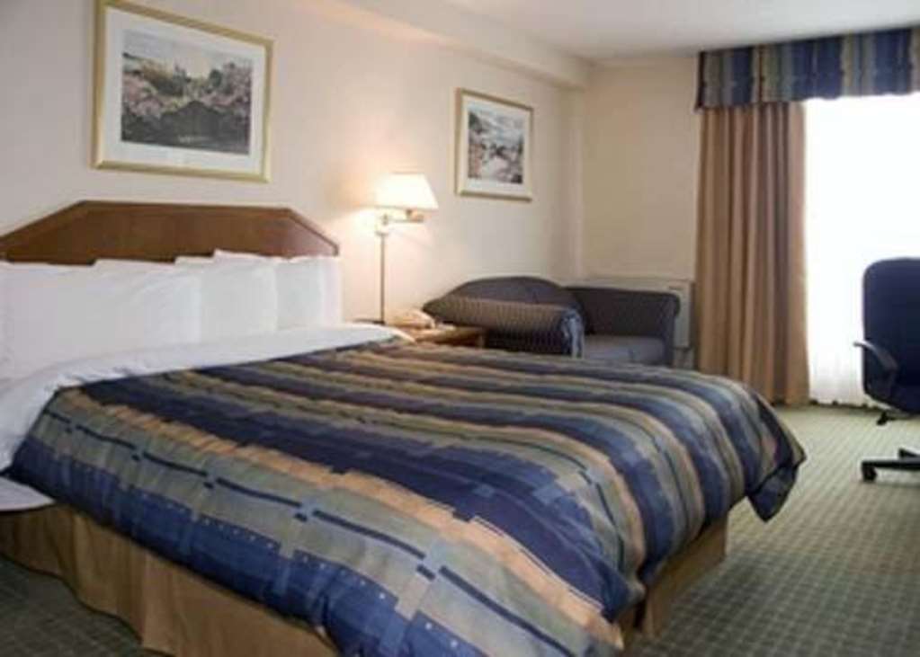 Four Points By Sheraton Toronto Airport East Værelse billede